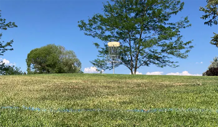 what is the 2-meter rule in disc golf?