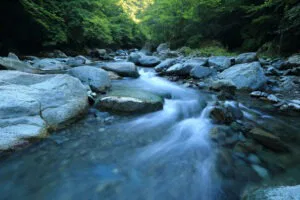 image of a river