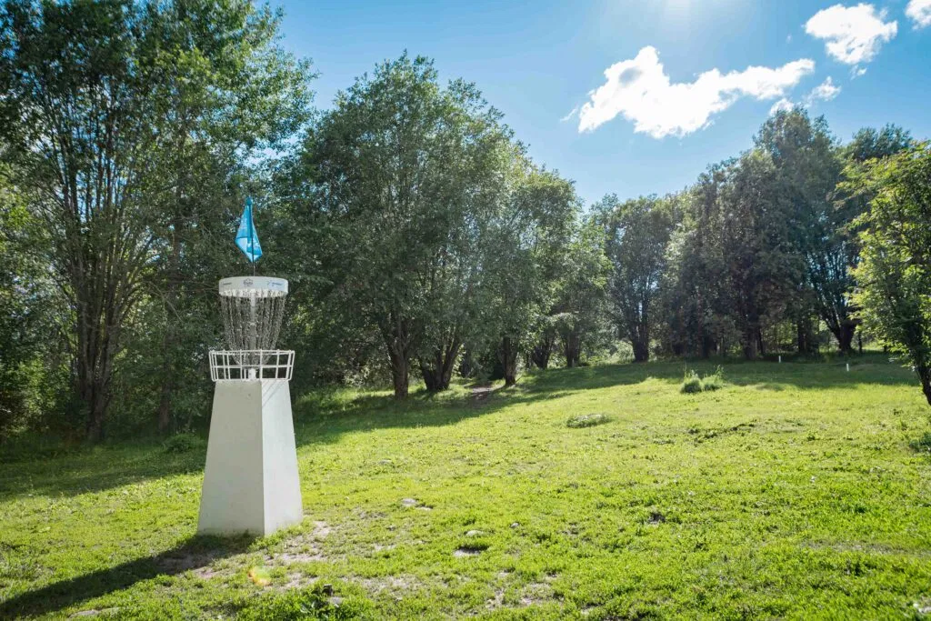 A disc golf basket near some trees