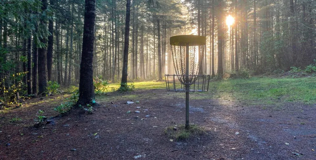 A disc golf basket in the woods
