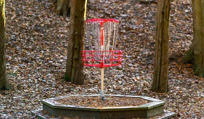 best practice basket disc golf