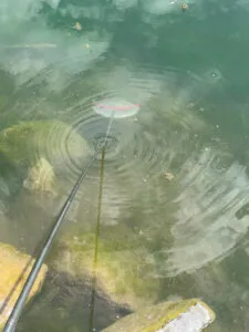 retrieving a disc from a lake