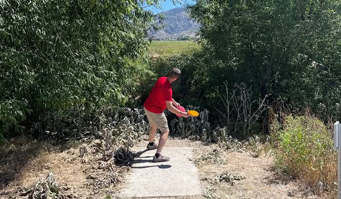 physics disc golf